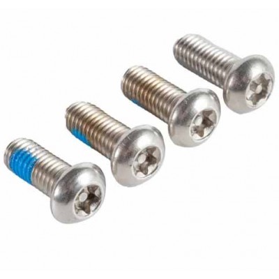 304 Stainless Steel Torx Drive Button Head Security Machine Screw Roofing Screw