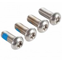 304 Stainless Steel Torx Drive Button Head Security Machine Screw Roofing Screw